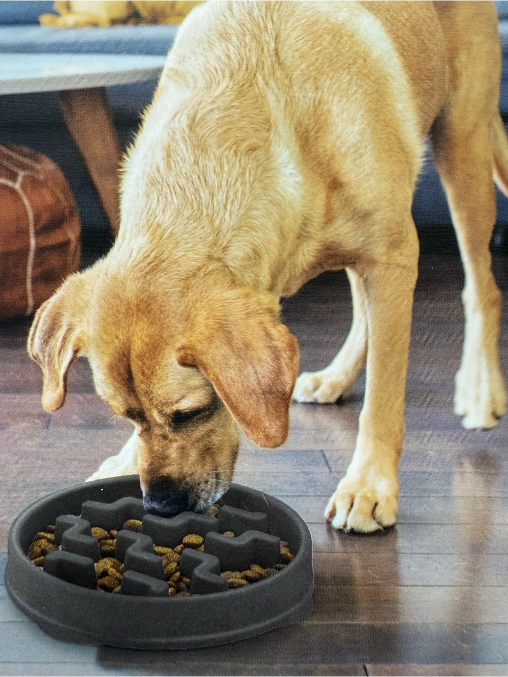 Dog Slow Feeder Bowl **NEW** - Picture 4 of 4